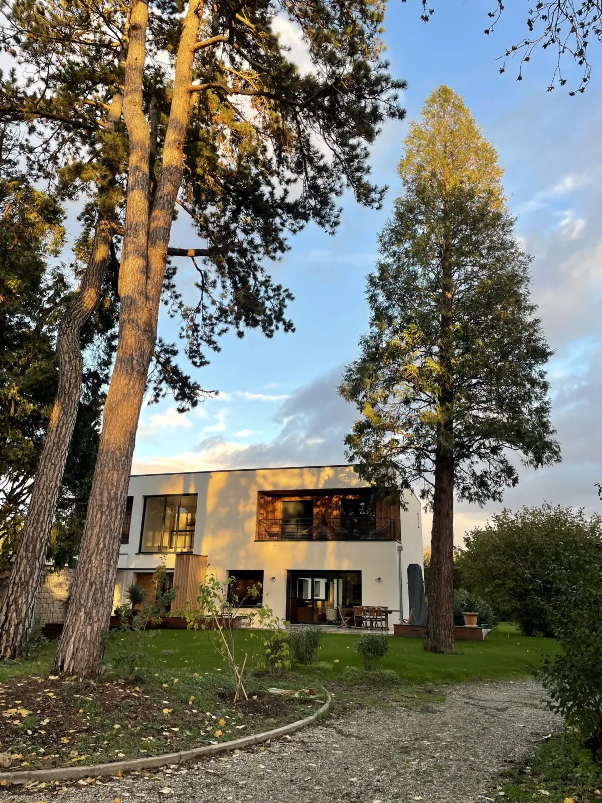 Contemporary house at Bread et Couette among tall pines, with lawn and gravel drive in evening light