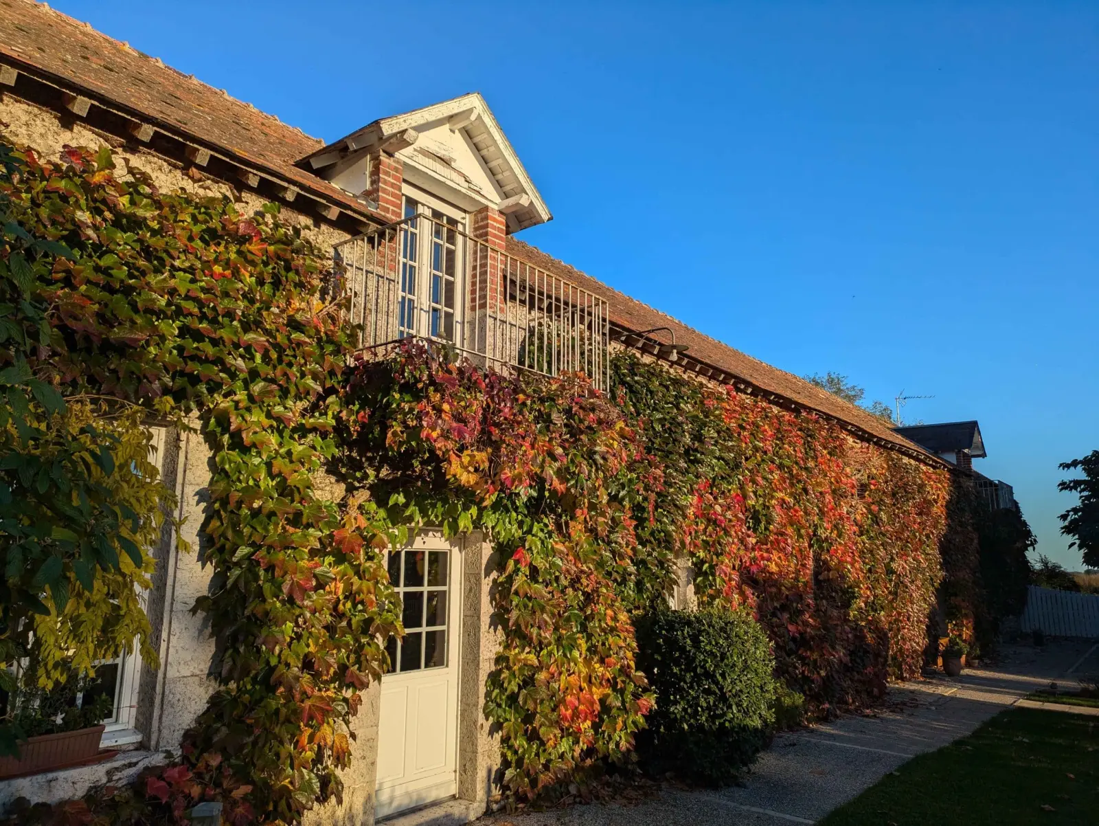 Domaine de Champouteau farmhouse in autumn, red Virginia creeper, balconied dormer and sunny path