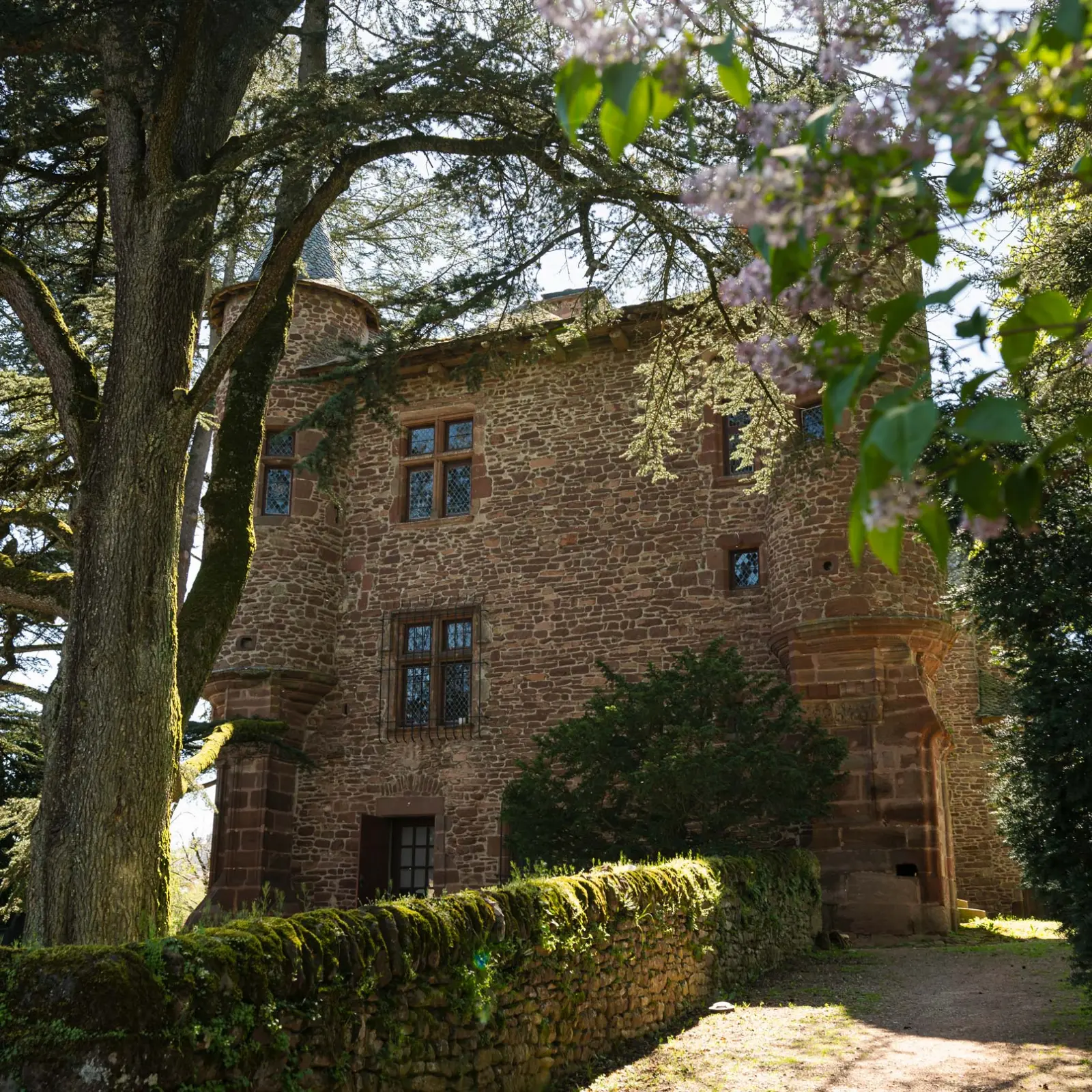 Stone façade and towers of Château de Canac behind a mossy wall, under a cedar and lilac branches