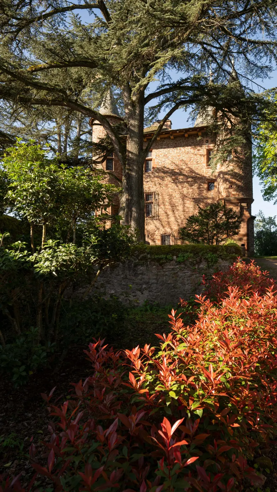 Château de Canac in brick and stone beneath a large cedar, behind a bed of red shrubs