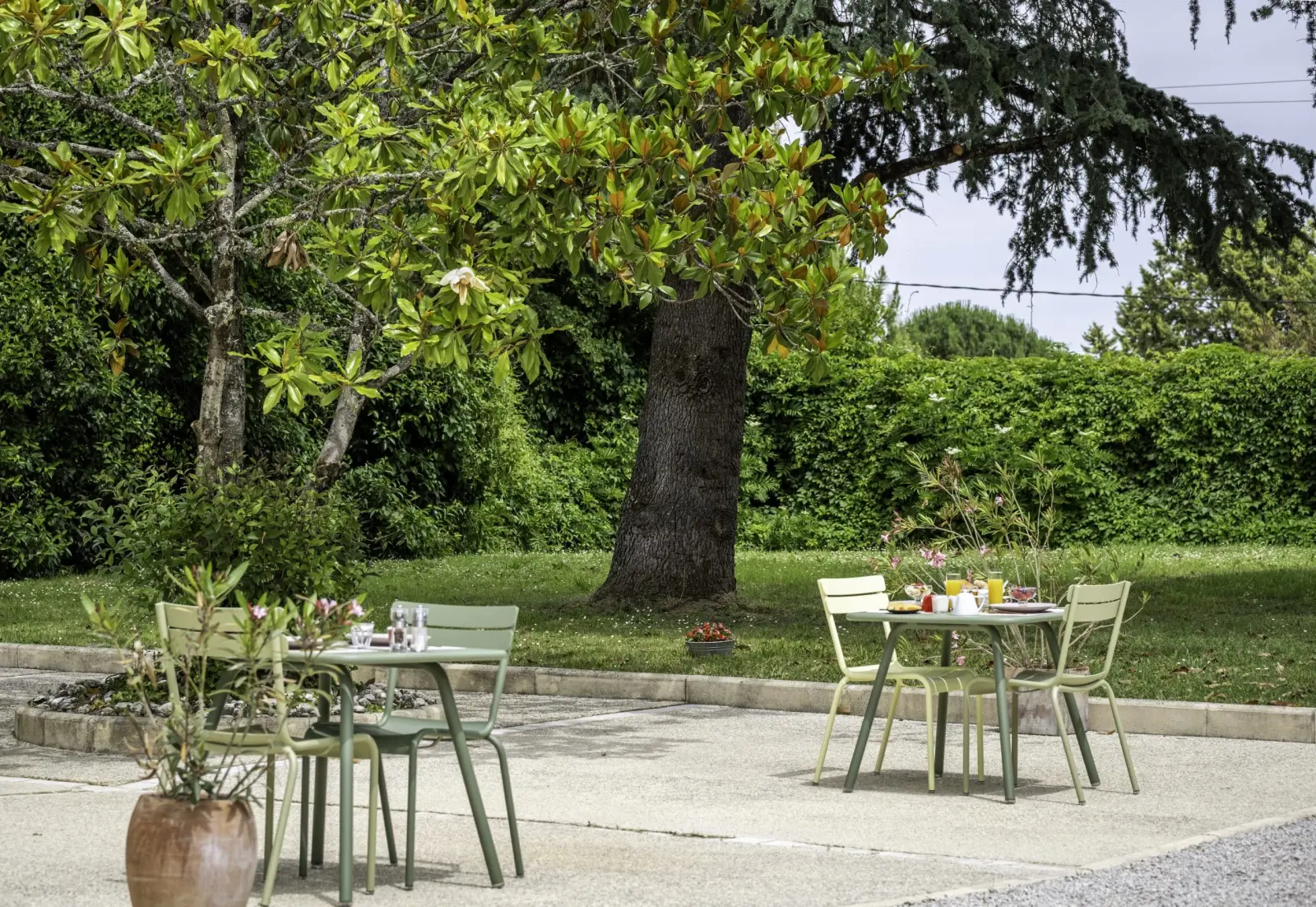 Garden tables beneath a magnolia and a large tree, at the edge of the lawn at Clos Marcamps