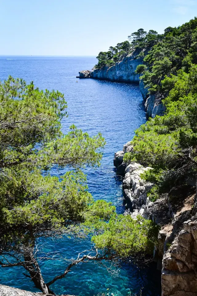 Crique aux eaux bleues entre des falaises calcaires couvertes de pins