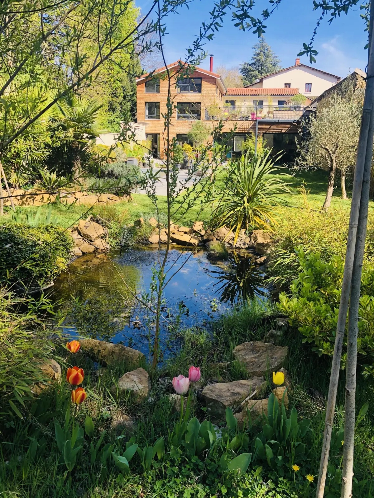 Pond ringed with rocks and tulips in the Effet Lodge garden, with the timber and brick house behind