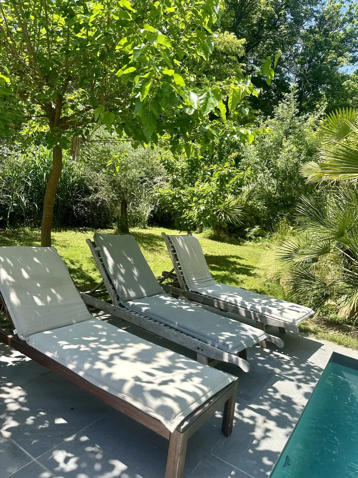 Sun loungers with pale cushions in the shade of a tree beside the Effet Lodge swimming pool