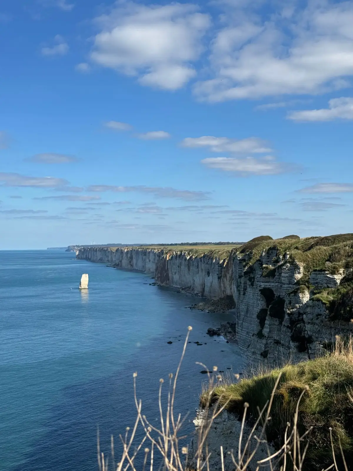 Falaises de craie blanche plongeant dans une mer bleue, une aiguille rocheuse au large