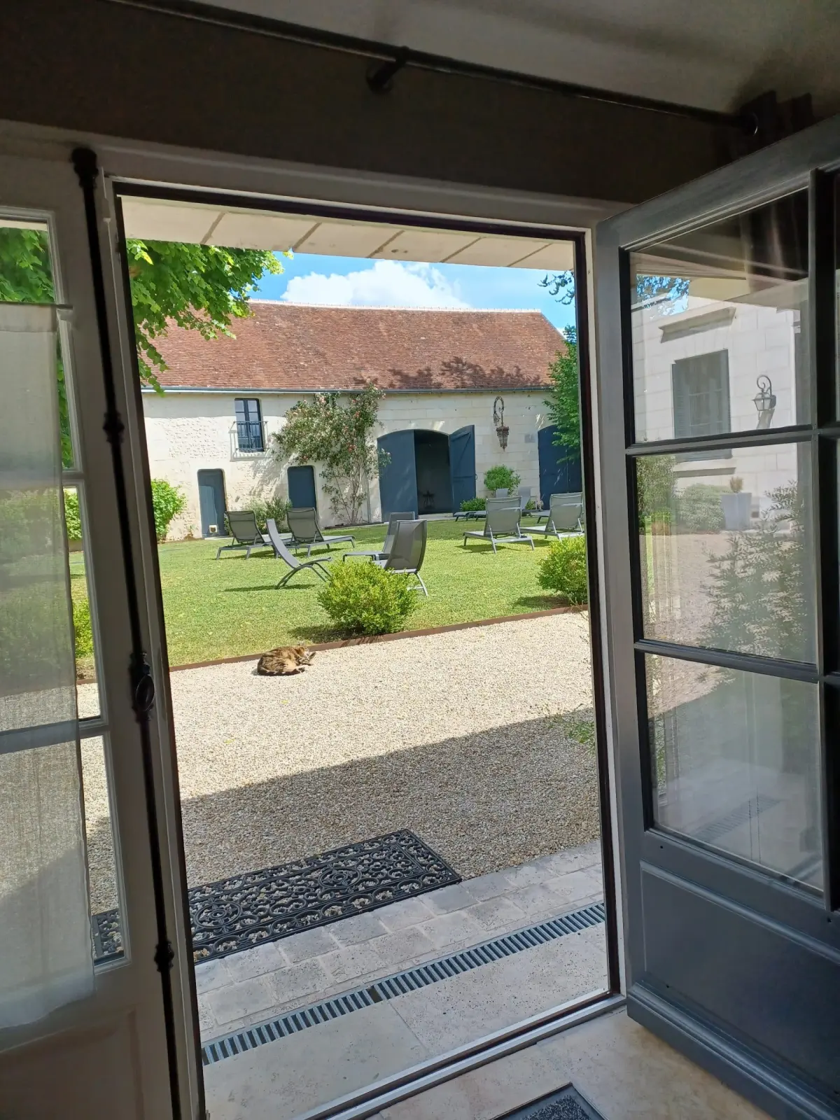 French window open onto the gravel courtyard, a cat lying down and the lawn with loungers, La Folie Saint Julien