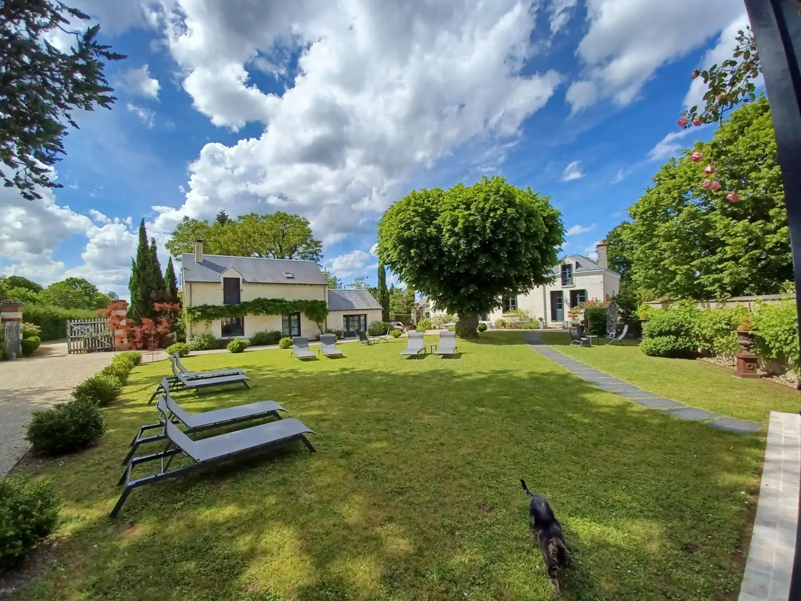 Lawn with a row of loungers, a small dog crossing and stone houses behind, La Folie Saint Julien