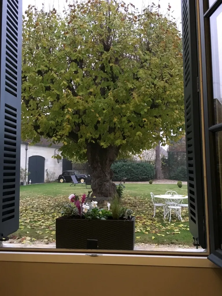 View from a window with grey shutters onto a large tree and the garden in autumn, La Folie Saint Julien