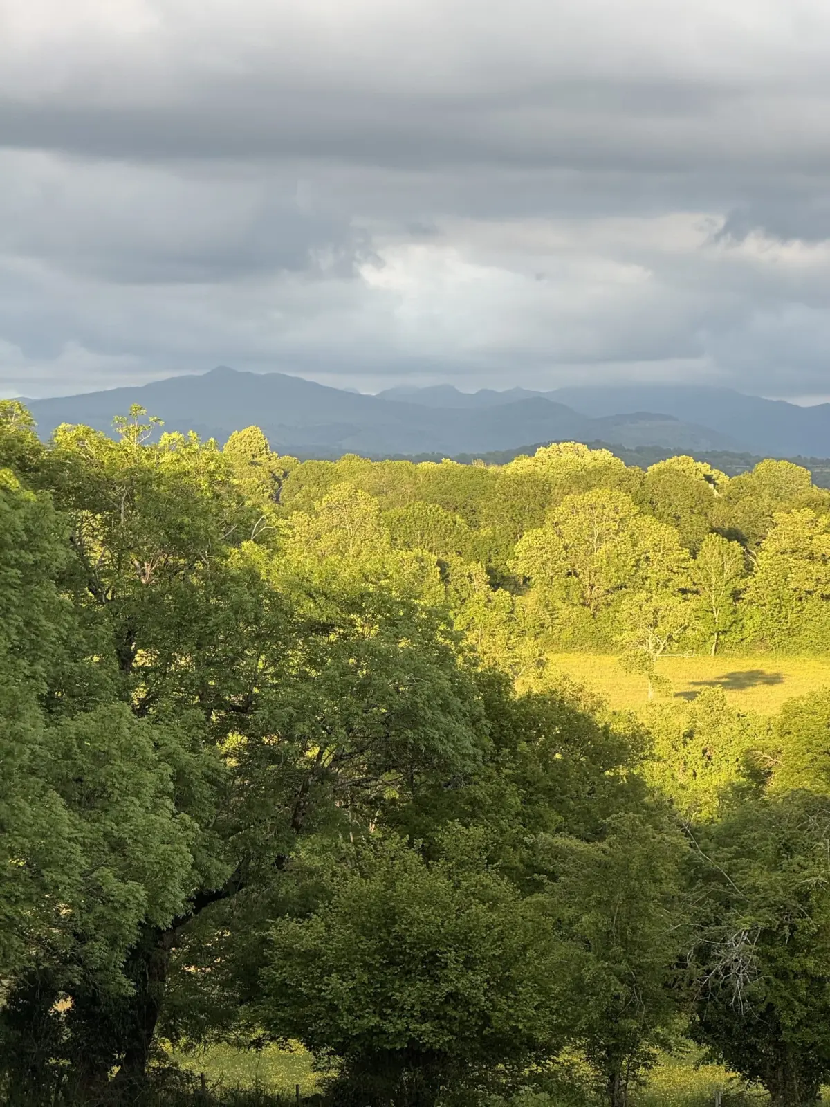 Sunlit wooded hills under a cloudy sky with mountains on the horizon, around La Fournio