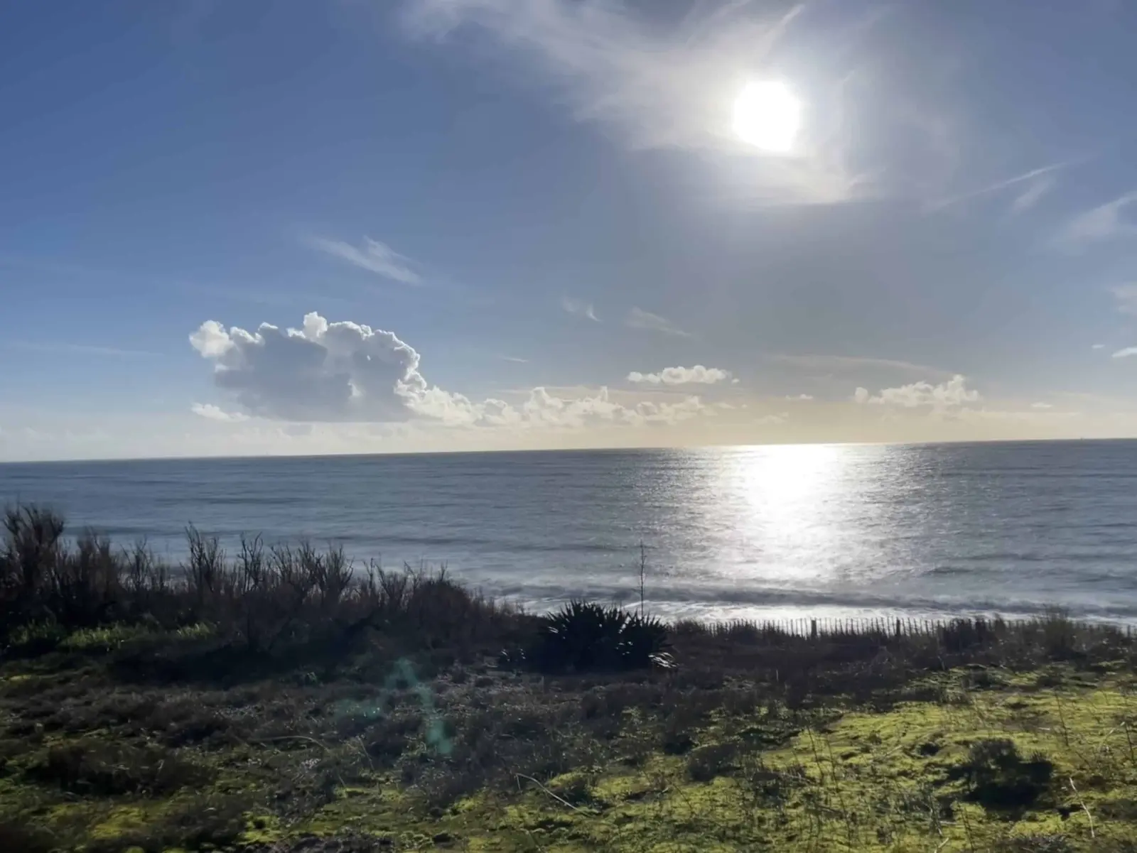 Sunlit seashore with low vegetation in the foreground and light glinting on the ocean, near Le 36