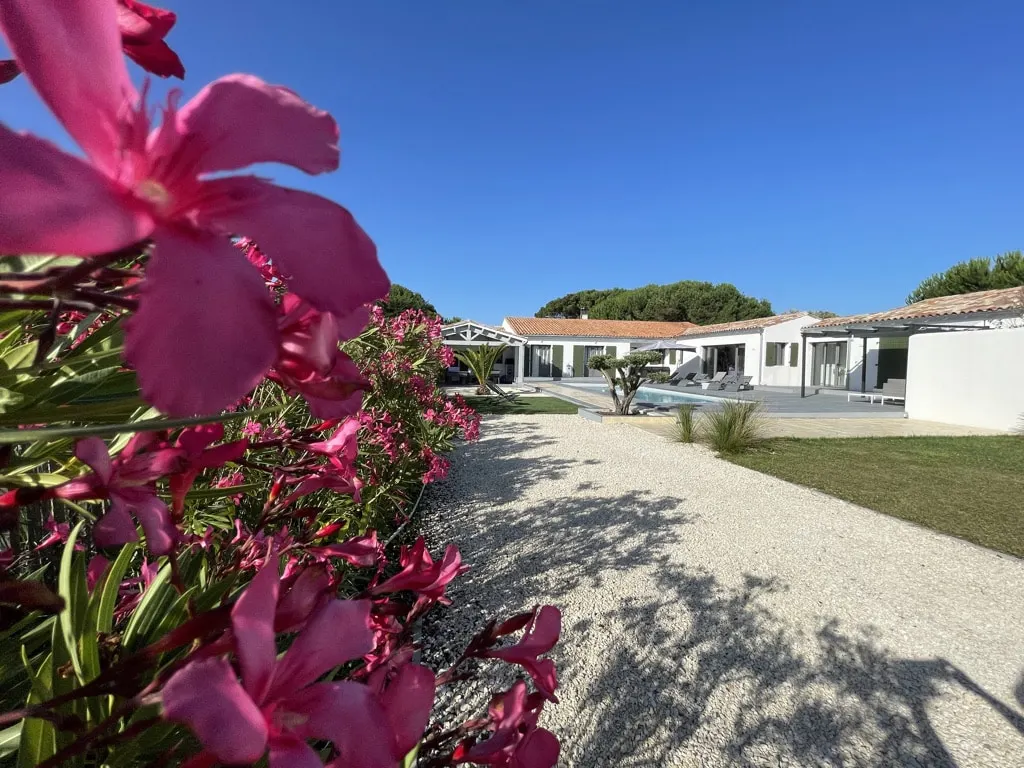 Gravel path lined with pink oleanders leading to the white house and pool at Le 36