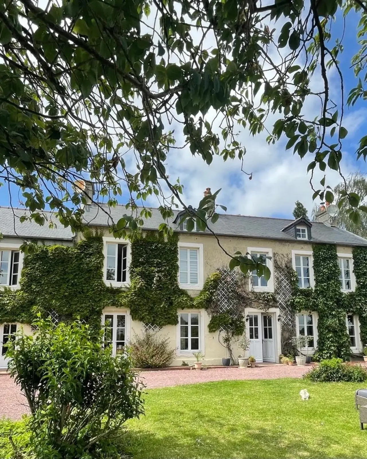 Façade de maison couverte de lierre aux fenêtres blanches, vue depuis le jardin sous les branches