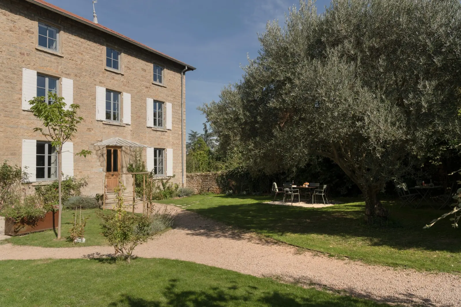 Stone house with white shutters, a gravel drive and a large olive tree in the garden, La Maison des Monts d'Or
