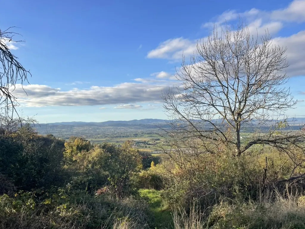 Open view over a wide plain and distant hills from a hillside with bare trees