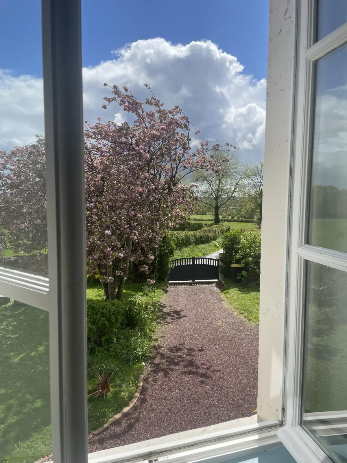 View from a window at Domaine de Marculfo over a driveway, a blossoming cherry tree and the garden gate