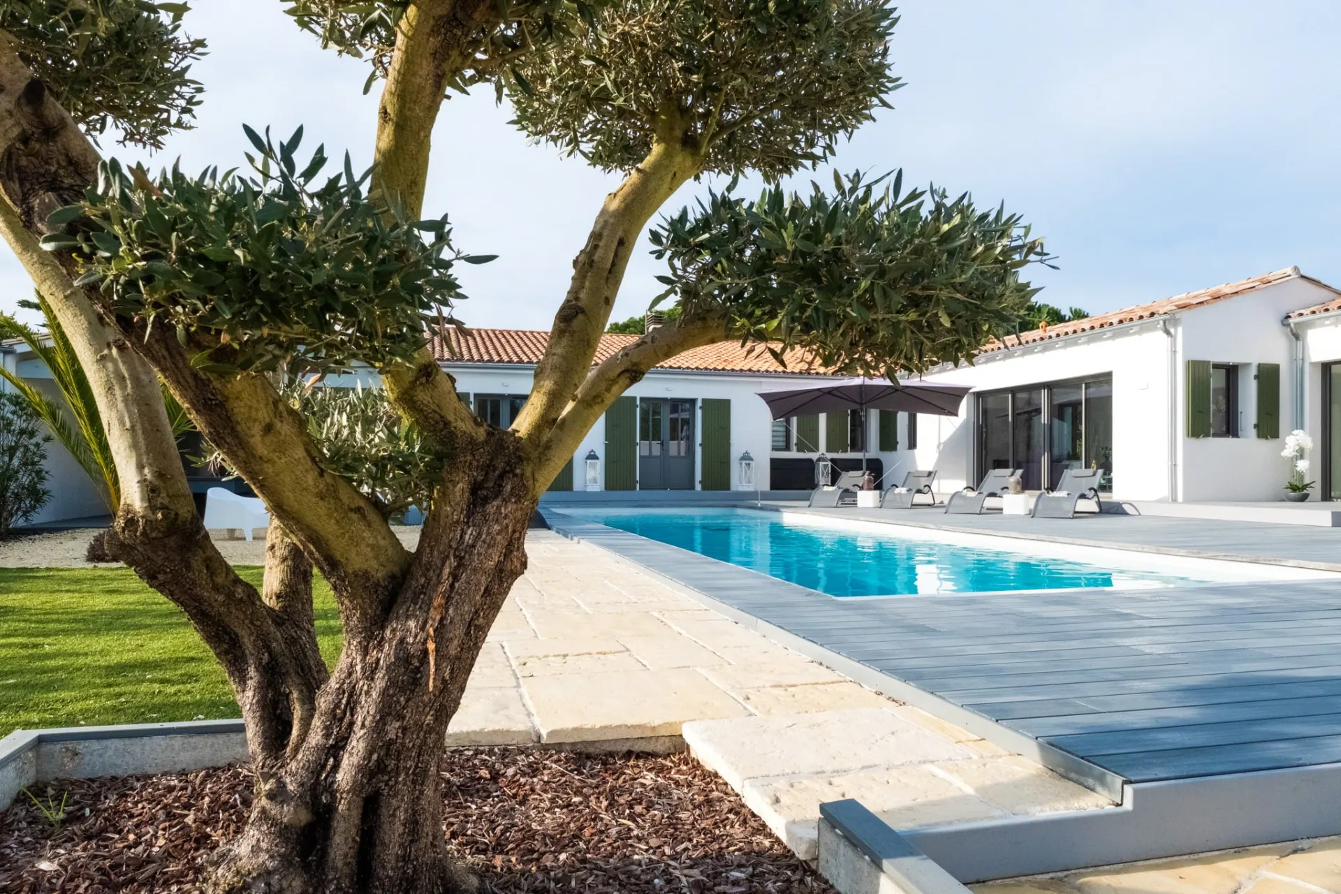 Piscine bordée d'une terrasse en bois, olivier au premier plan et maison blanche aux volets verts