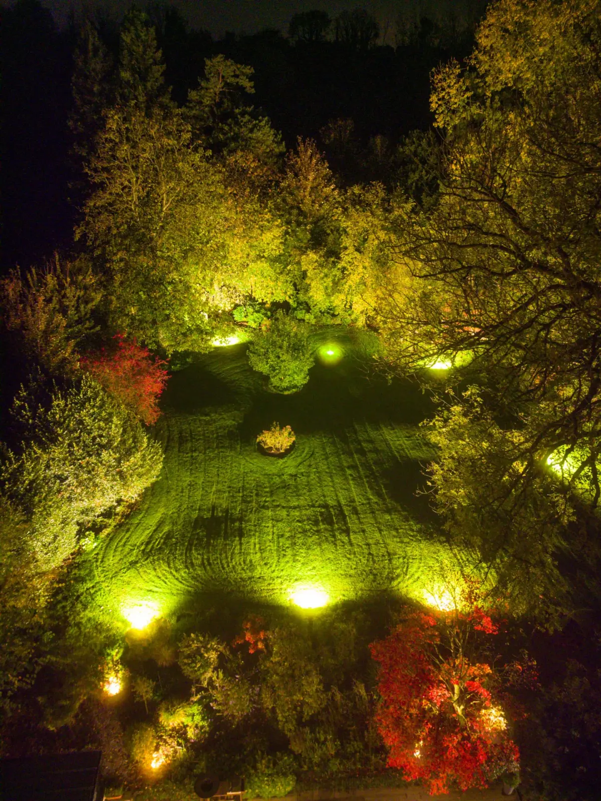 The garden at La Plonplonière lit at night by ground spotlights, lawn and trees in autumn leaf