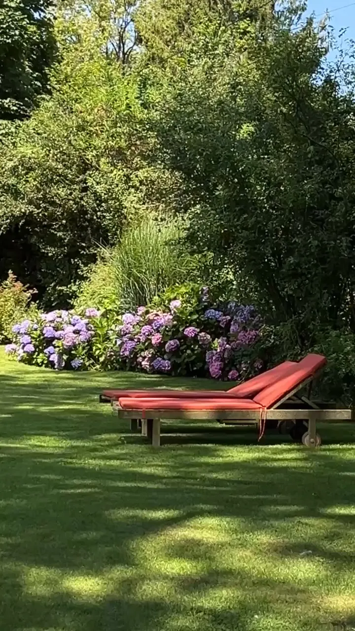Sun lounger with a red cushion on a sunny lawn, before a bed of mauve hydrangeas, La Plonplonière