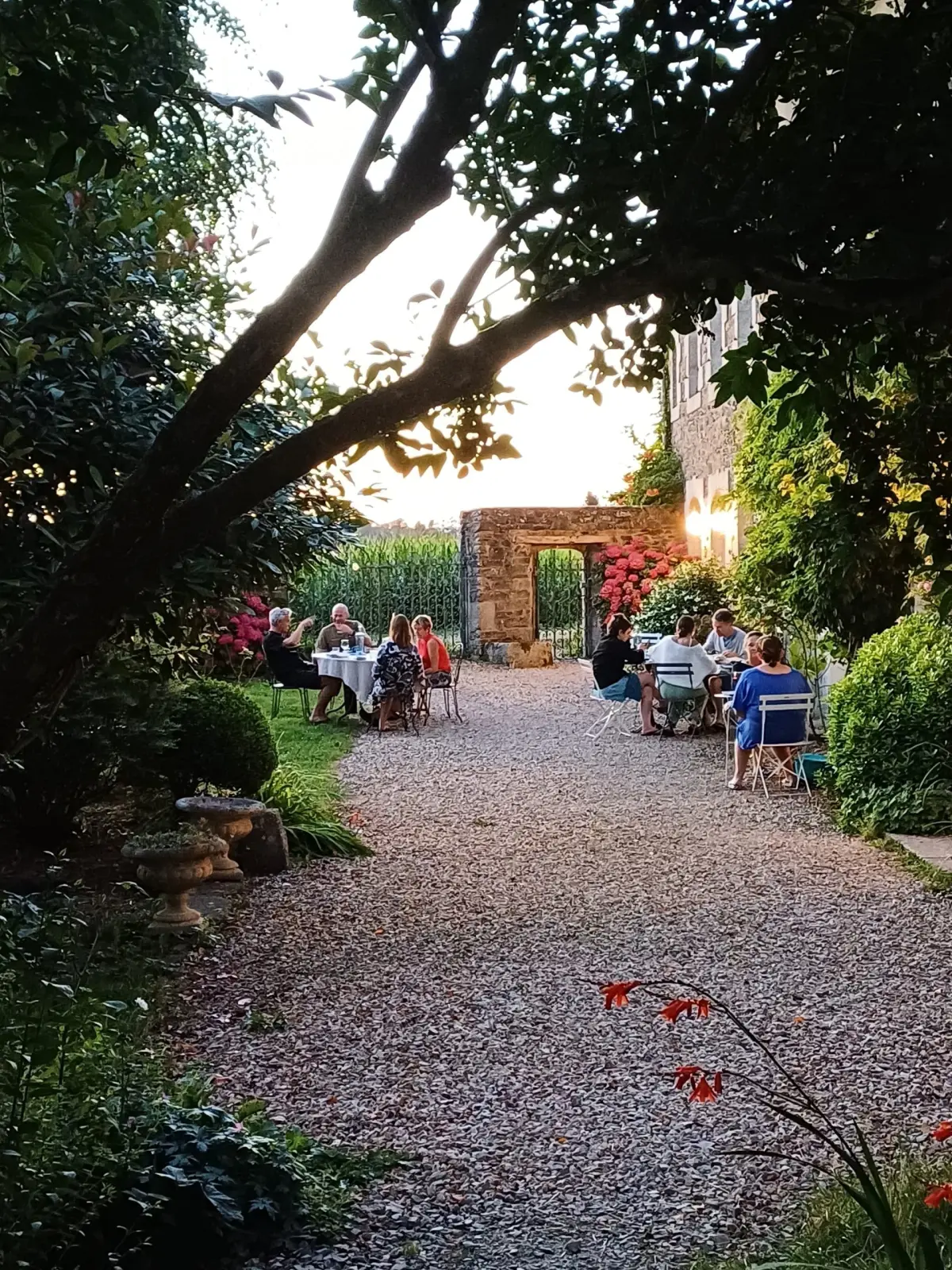 Gravel path beneath the trees leading to guests seated at tables in the evening, Ty Monde
