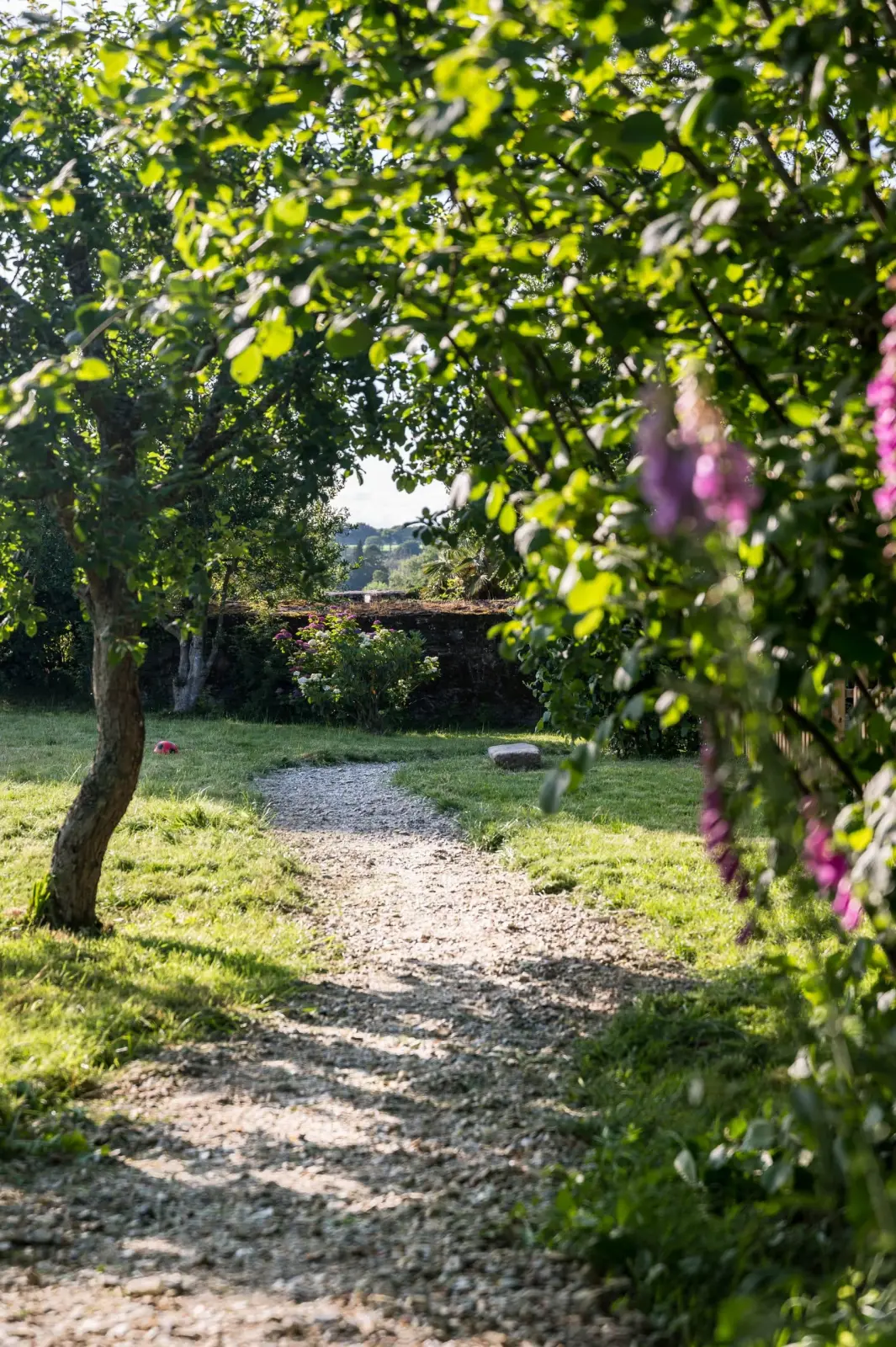 Gravel path between lawn and trees, pink flowers in the foreground, Ty Monde garden