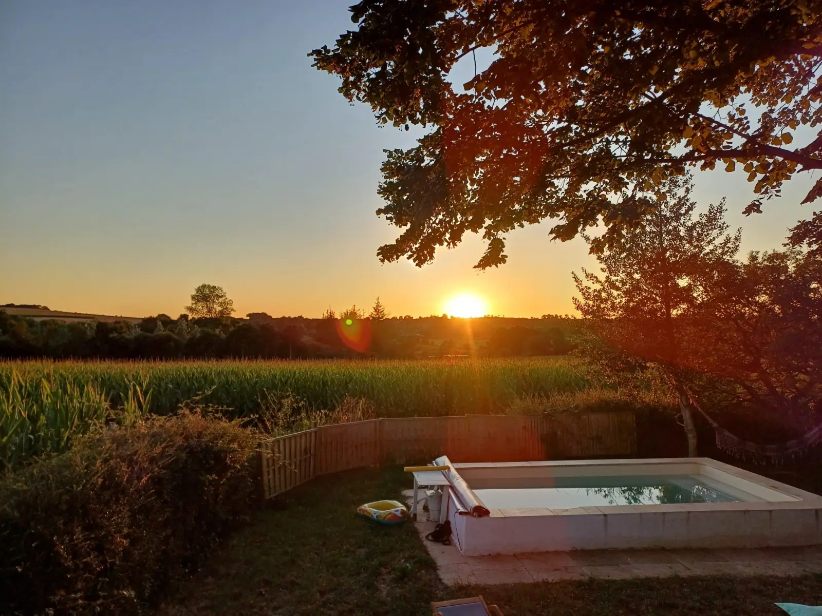 Small pool in the garden at sunset, facing a field of maize, Ty Monde