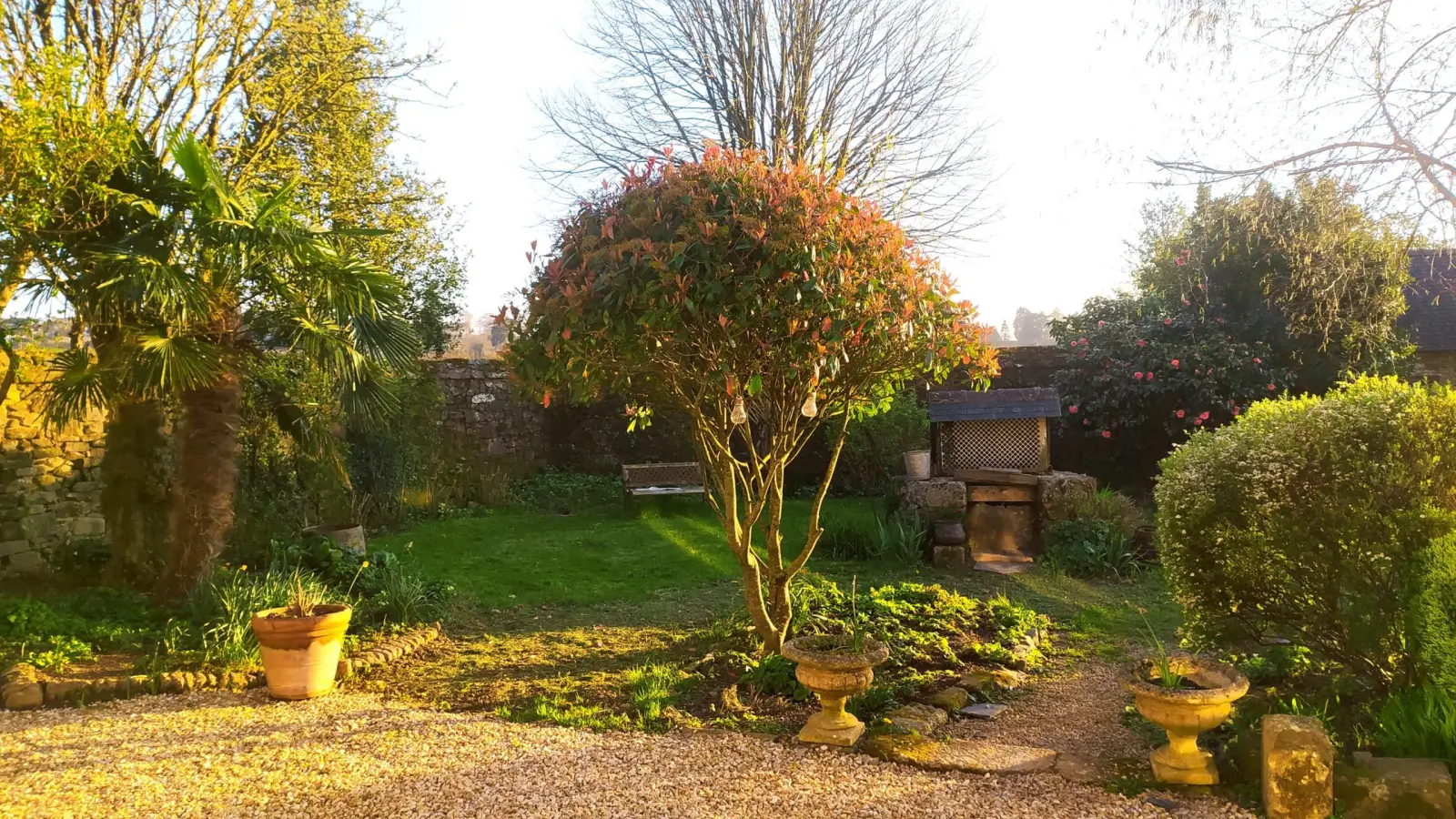 Sunny garden with palm tree, red-leaved shrub, terracotta pots and stone urns, Ty Monde