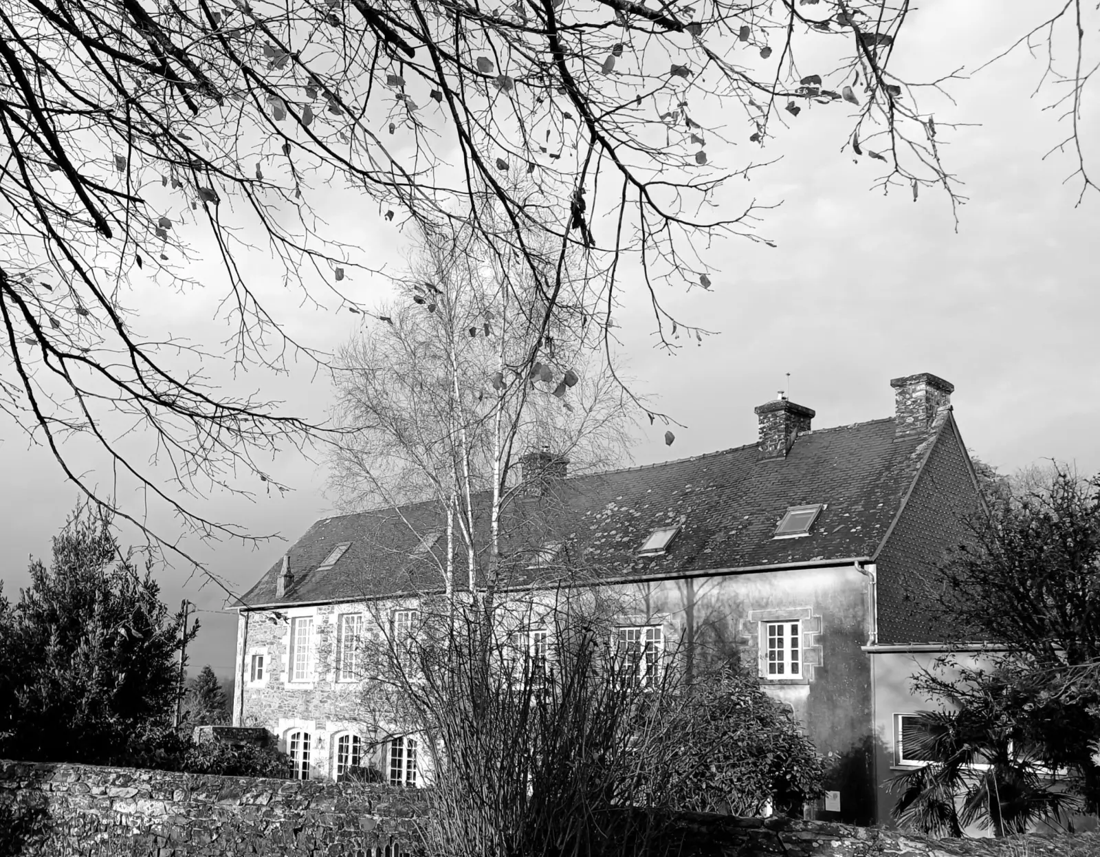 Large stone house with slate roofs and chimneys beneath bare branches, in black and white, Ty Monde