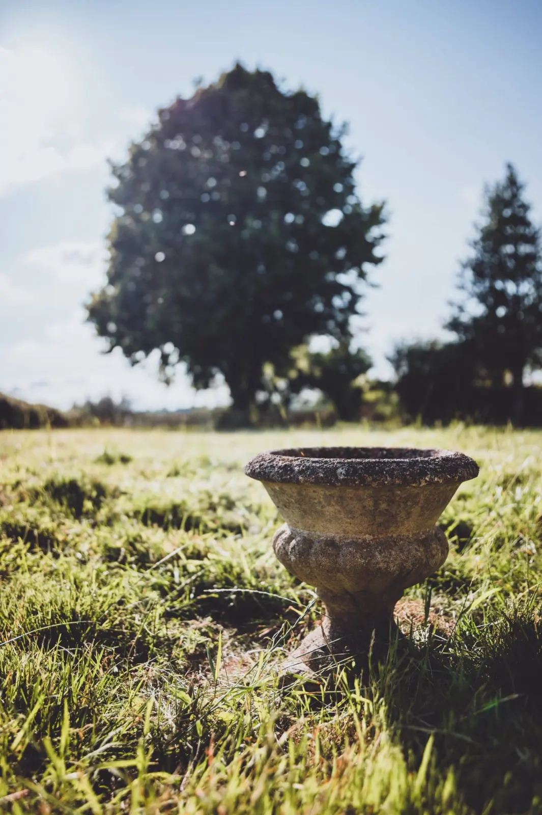 Old stone urn standing in the grass in the sunshine, large tree in the background, Ty Monde