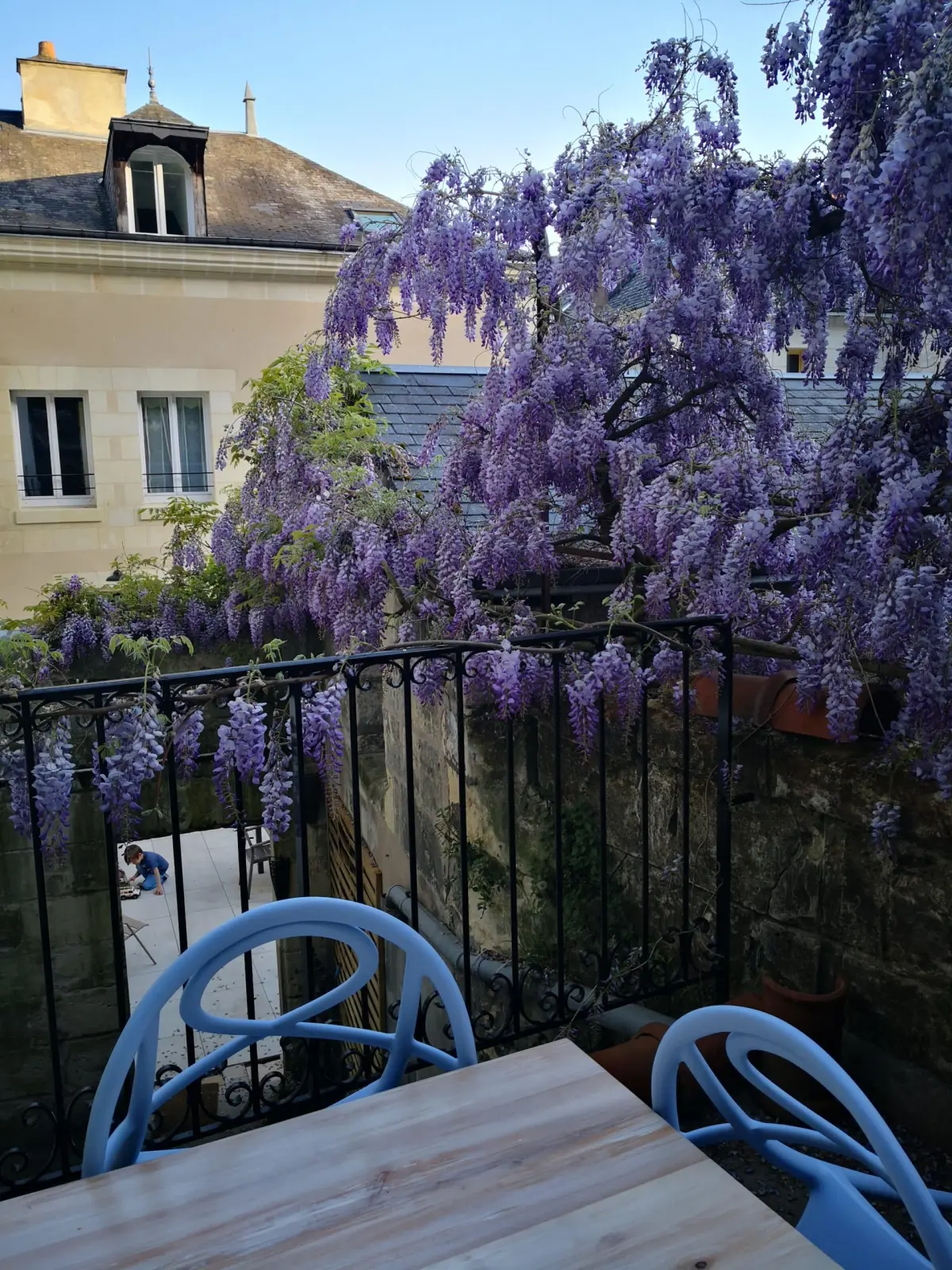 Mauve wisteria in bloom above a wrought-iron balcony, wooden table and blue chairs, La Vie Voyage